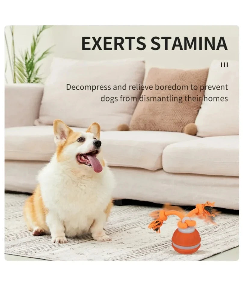 Pet Ball for Dogs Interactive Toys Motion Activate Rolling Ball for Puppy/Small Dogs Automatic Moving Toy USB Rechargeable Toy