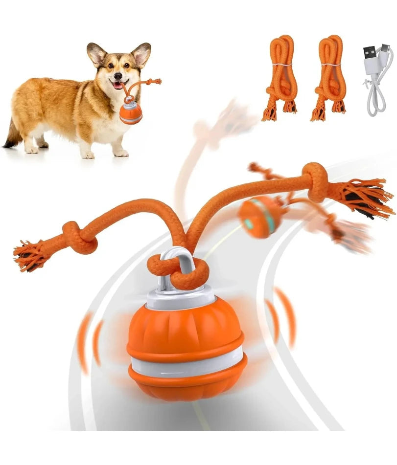 Pet Ball for Dogs Interactive Toys Motion Activate Rolling Ball for Puppy/Small Dogs Automatic Moving Toy USB Rechargeable Toy