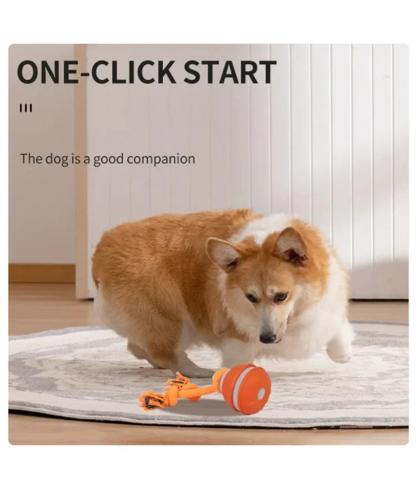 Pet Ball for Dogs Interactive Toys Motion Activate Rolling Ball for Puppy/Small Dogs Automatic Moving Toy USB Rechargeable Toy