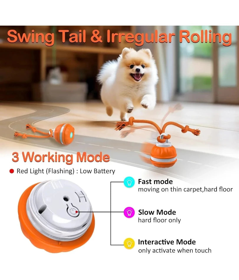 Pet Ball for Dogs Interactive Toys Motion Activate Rolling Ball for Puppy/Small Dogs Automatic Moving Toy USB Rechargeable Toy